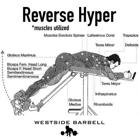 Reverse Hyper Machine